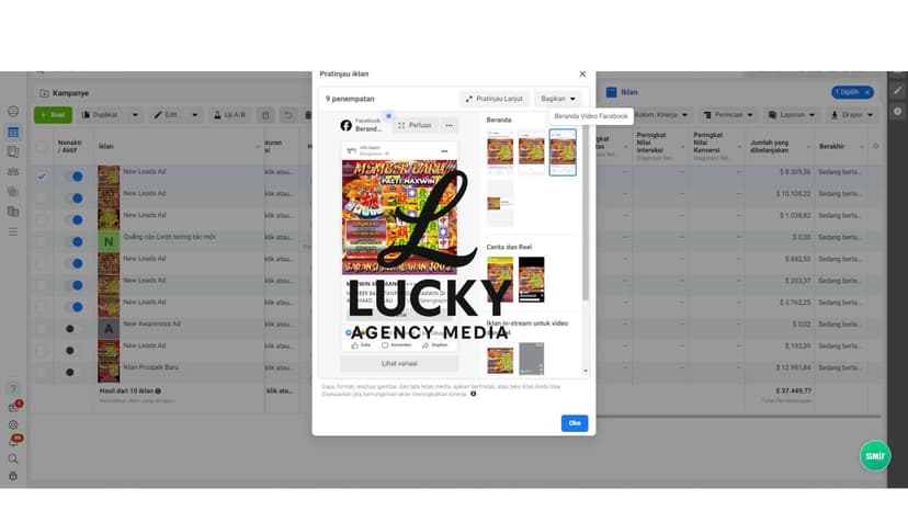 Facebook Ads Campaign Screenshot